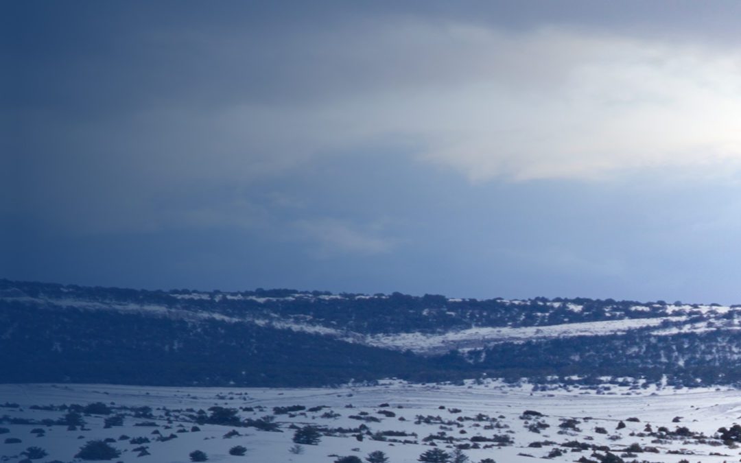 Frontier Carbon Solutions Unveils CO2 Storage Hub And Carbon Removal Credits Offering